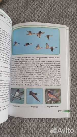 Зеленые страницы. Плешаков А. А