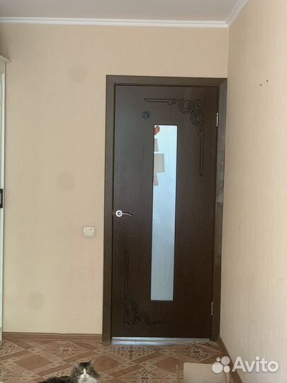 Двери межкомнатные с коробкой 80