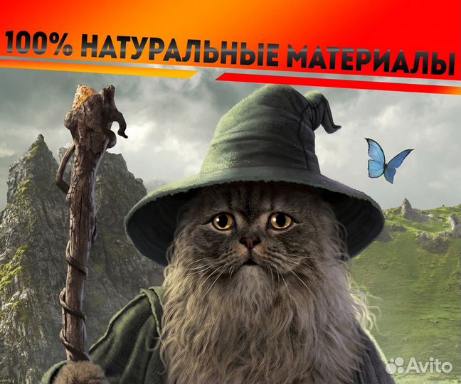 Print Art Картина - постер CatDalf mini