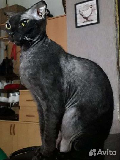 Вязка