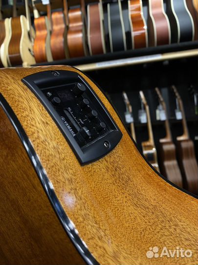 Массив Yamaha FGX800C электроакустическая (Новая)