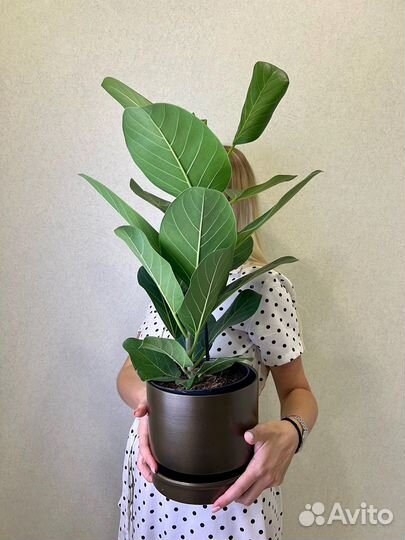 Горшок для цветов