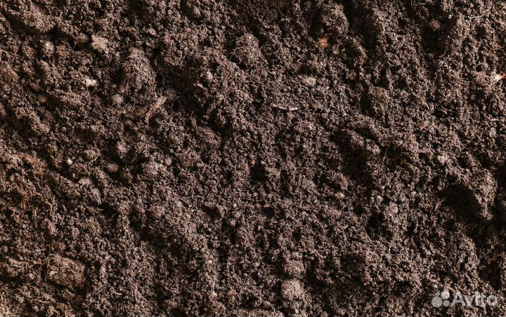 Чернозем в наличии