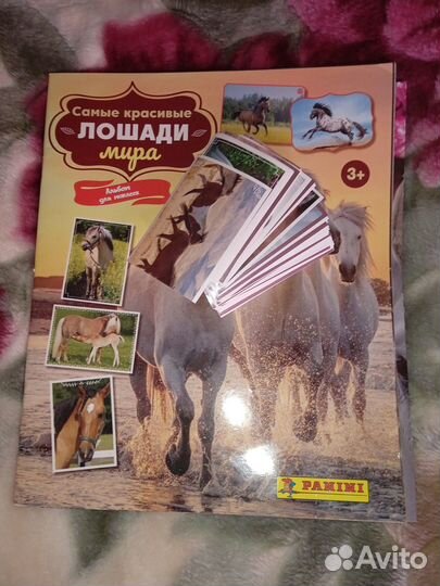 Самые красивые лошади мира наклейки panini