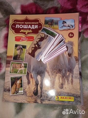 Самые красивые лошади мира наклейки panini