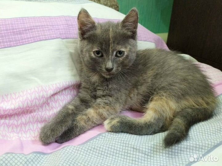 Чудесная девочка