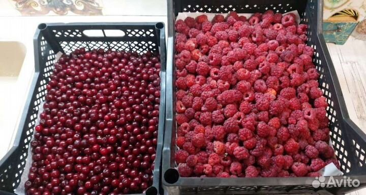 Клубника и др. ягоды из Киргизии