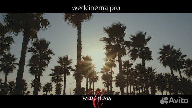Фото и видеосъемка, оператор на свадьбу, Reels