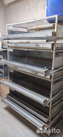 Клетка для перепелов на 50 и 200 штук