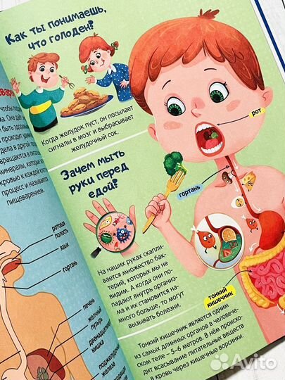 Энциклопедии в картинках для малышей