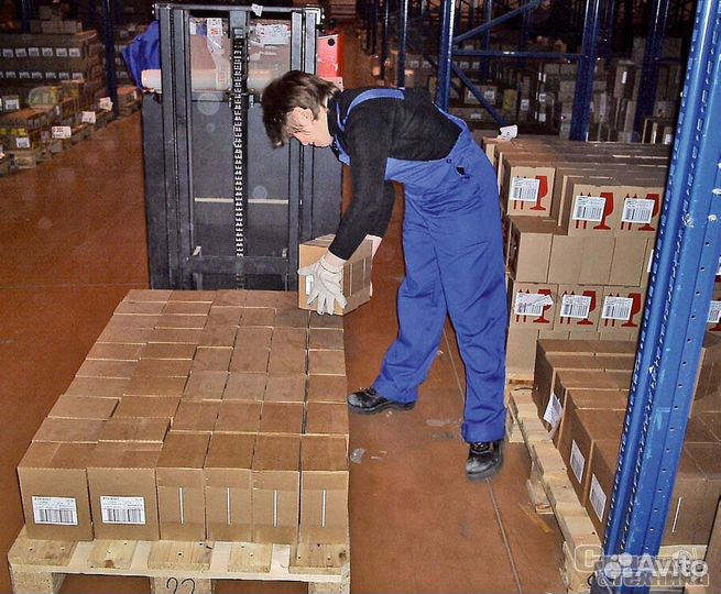 Грузчик, ежедневные выплаты