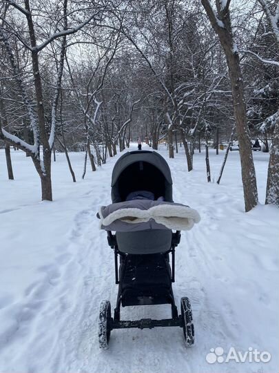 Коляска 2 в 1 bebetto torino tex