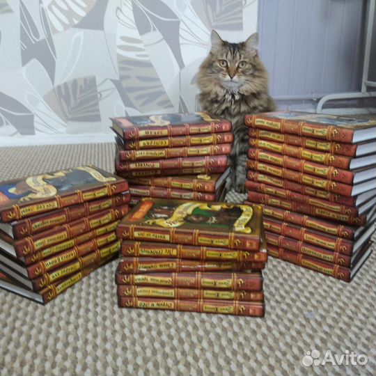 Вся серия книг Коты-воители