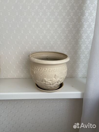 Горшки керамические с алоэ