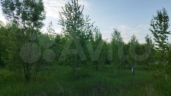 Участок 25 сот. (ИЖС)