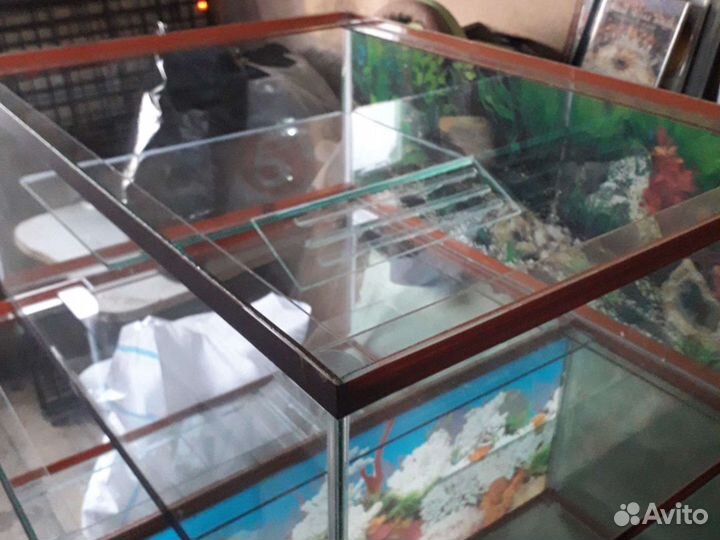 Террариум для чпрепах