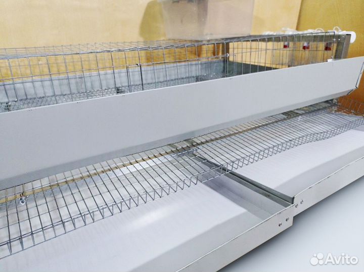 Клетка, кормушка поддоны для перепелов