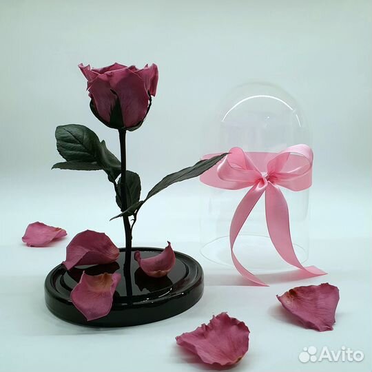 Роза в колбе от производителя
