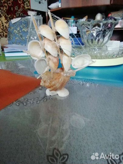 Ракушка кораблик