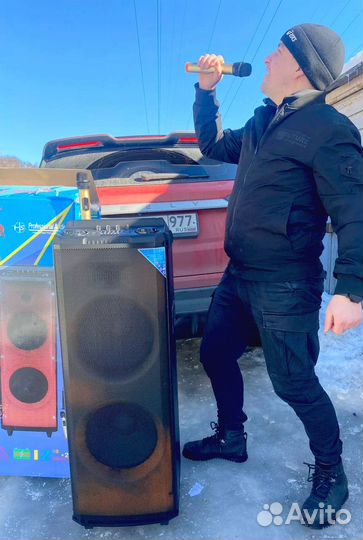 Акустическая система Goldstar 1270