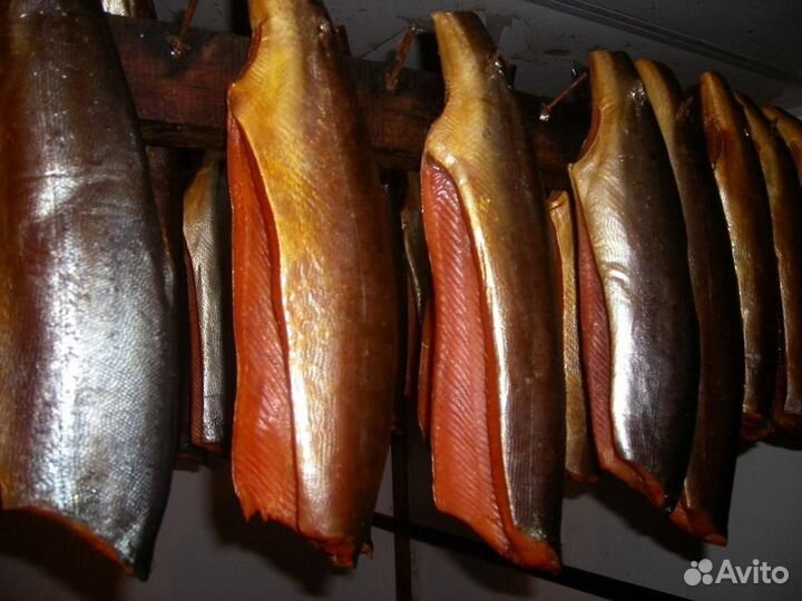 Форель холодного копчения