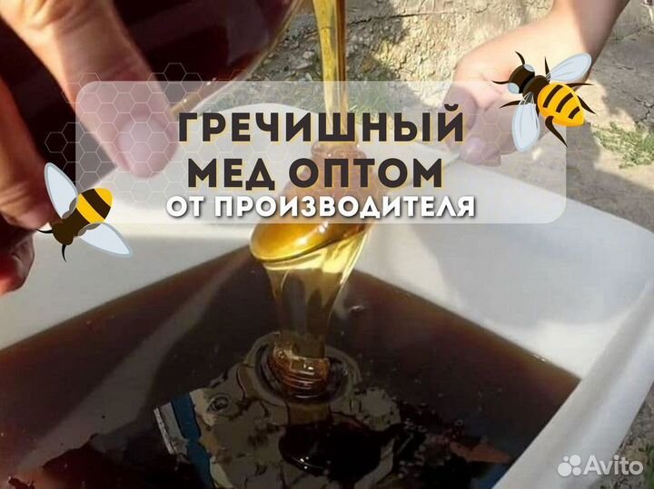 Гречишный мед с Алтая оптом