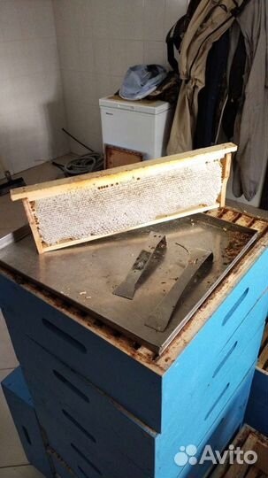 Мёд и продукты пчеловодства