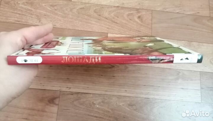 Лошади. Детская энциклопедия