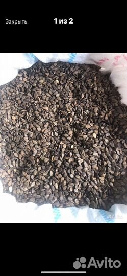 Семена арбуза кримсон свит