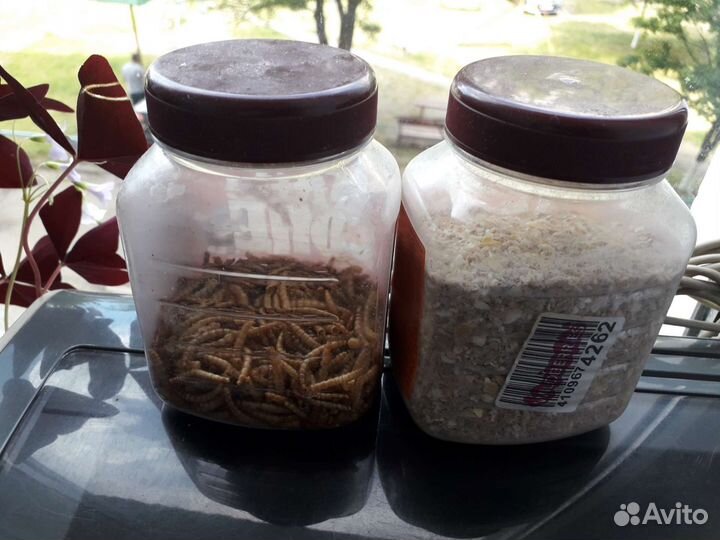 Клетка для попугая