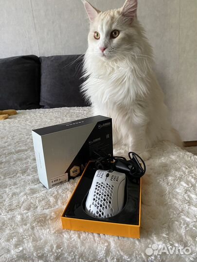 Мышь игровая Glorious Model D