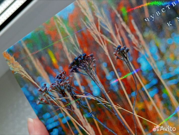 Почтовая открытка 