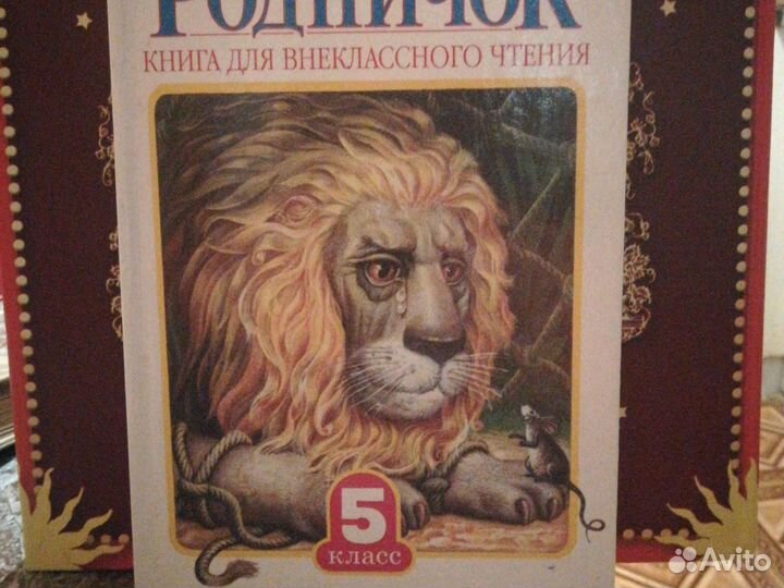 Книга для внеклассного чтения