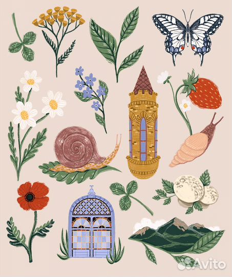 Иллюстратор дизайнер