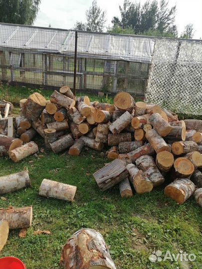 Газель и грузчики