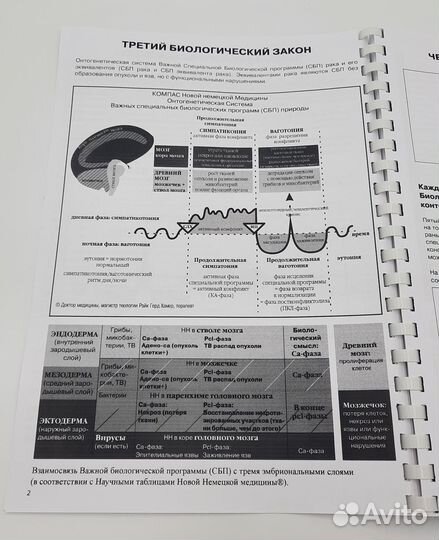 Научная карта Германской новой медицины Хамера