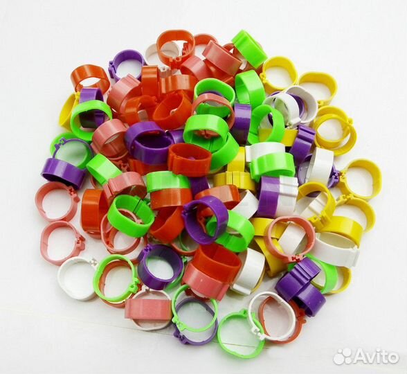 Очки и маркировочные кольца для кур, уток