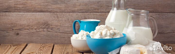 Животные, птица