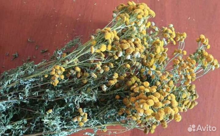 Пижма дикоросы сухоцвет