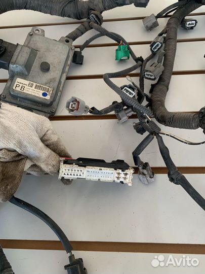 Проводка Nissan Teana J32 QR25DE CVT двс