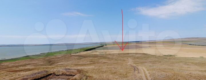 Участок 93,5 сот. (СНТ, ДНП)