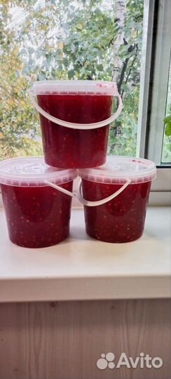 Лимонник китайский ягоды