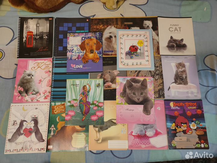 Тетради для школы