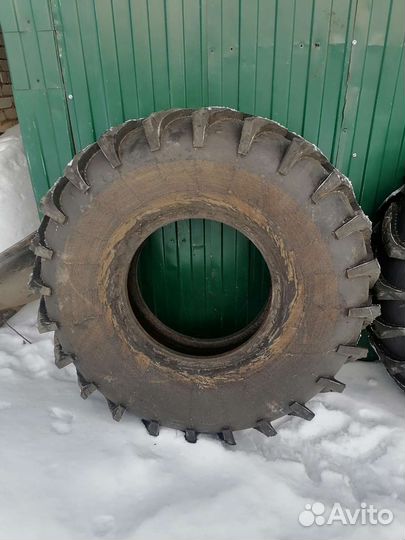 Шины ободрыши ои-25