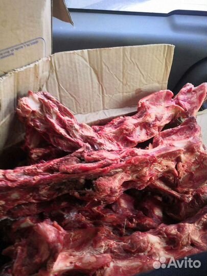 Кости с мясом для собак оленина