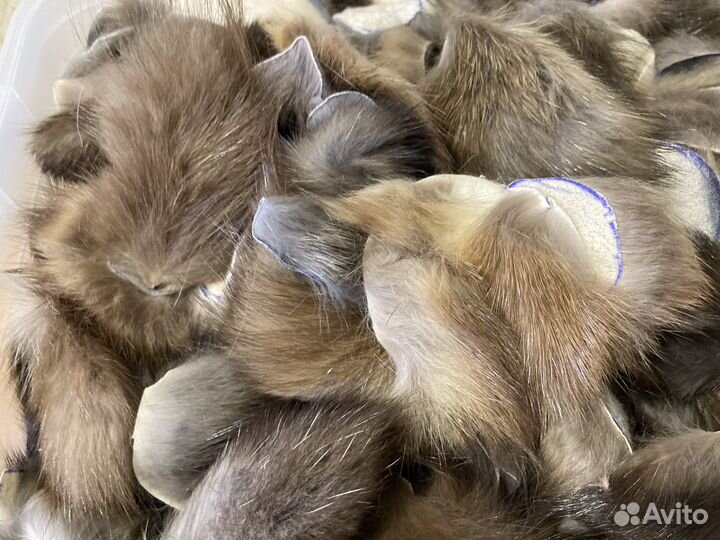 Лоскут натурального меха соболя 1,3 кг