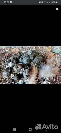 Куринный помёт в мешках