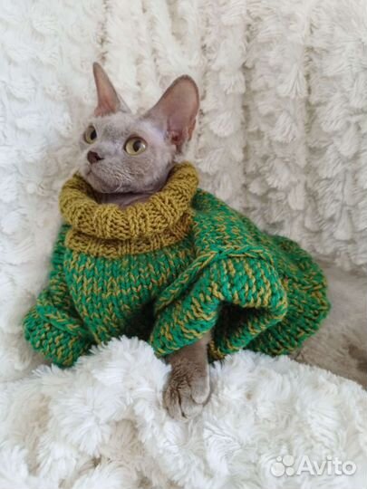 Кофточки для кошек или на маленькую собачку