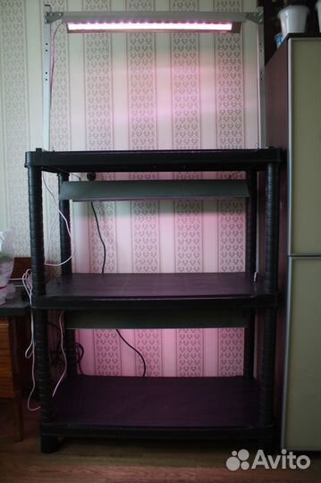 Стеллаж с фитолампами