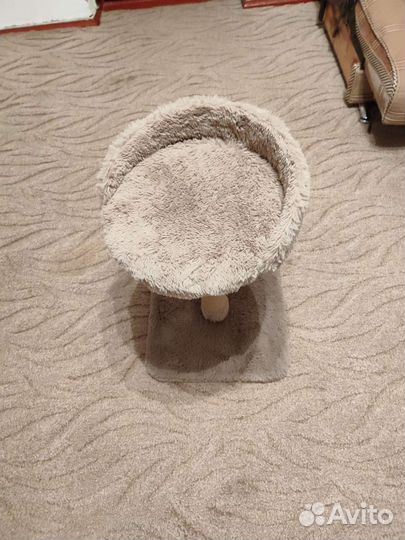 Когтеточка